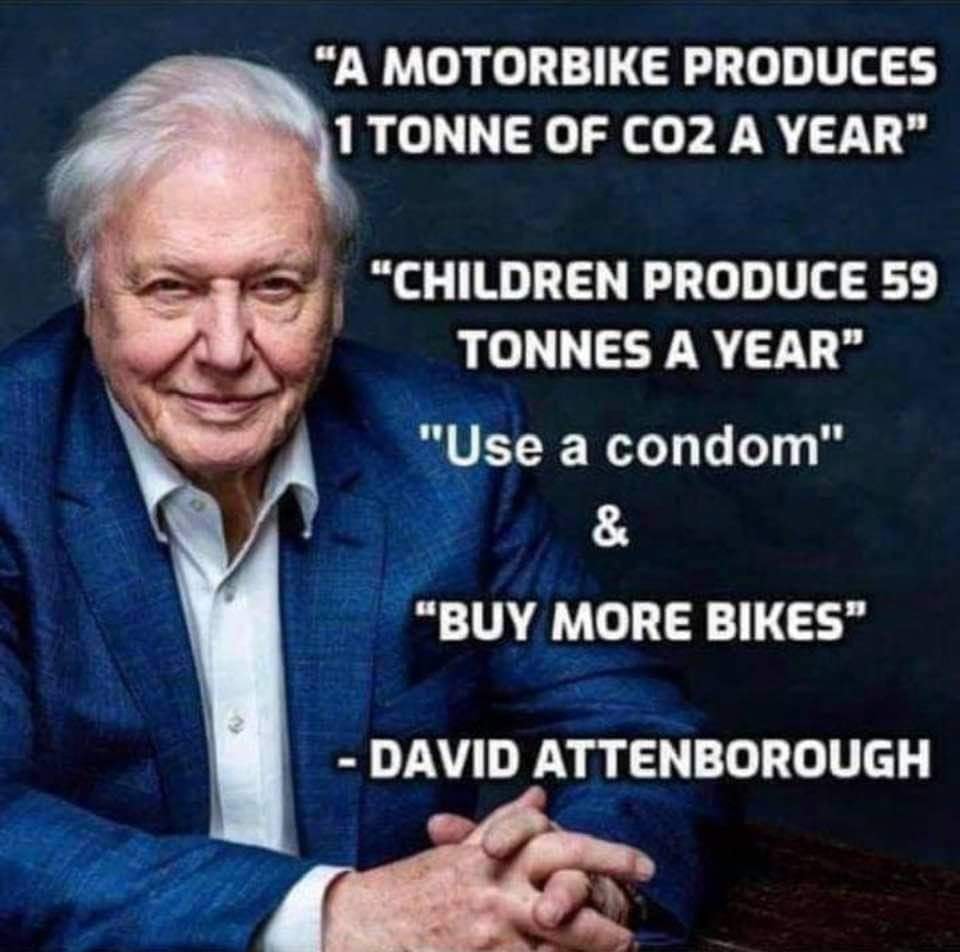 Buy More Bikes.jpg